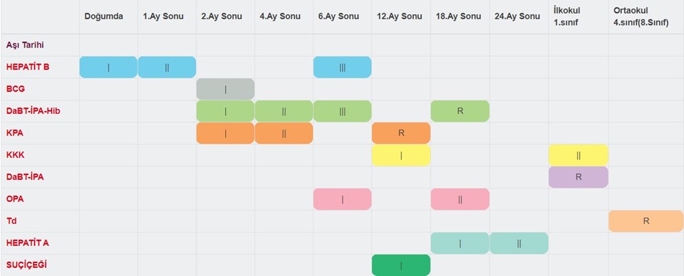 Bebekler ve küçük çocuklar için aşı takvimi (Bebeklere hangi aşı, ne zaman yapılır?) - 1