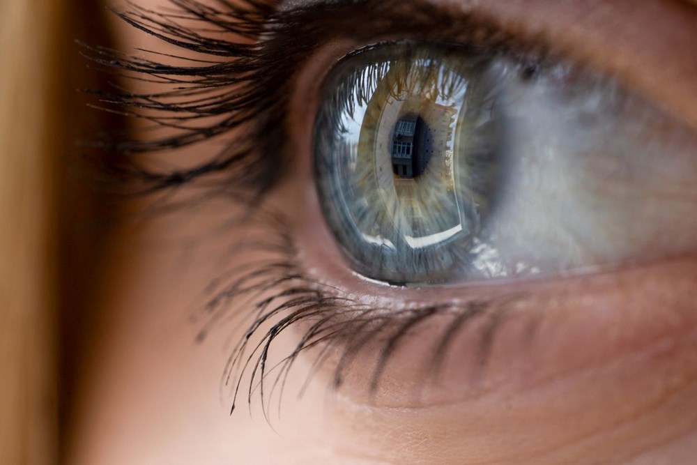 Bilim insanları açıkladı: Mavi gözler gerçekte "mavi" değil - 6