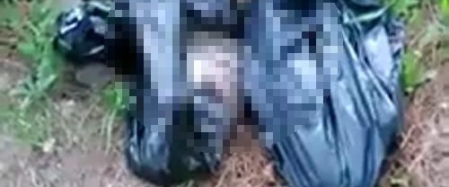 Ormanlık alanda poşetler içinde 6 kedi ölüsü bulundu NTV