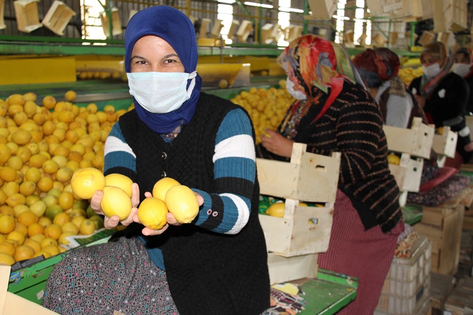 Talep azaldı, limon fiyatları 3 liraya düştü - 1