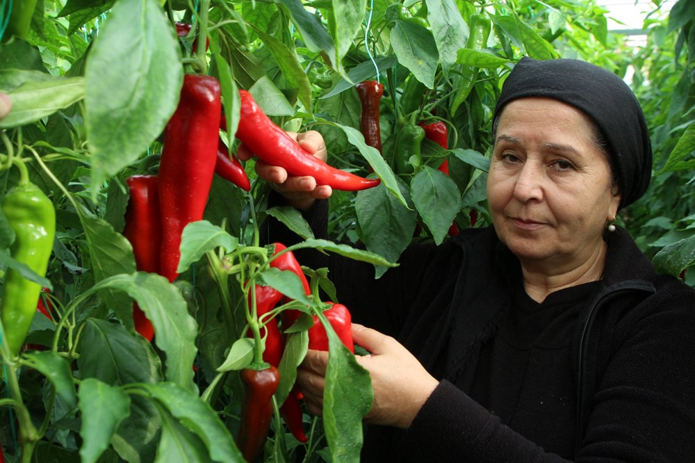 Halk arasında "kör duman" adıyla biliniyor: Senenin yarısını güneş görmeden geçiriyorlar - 8