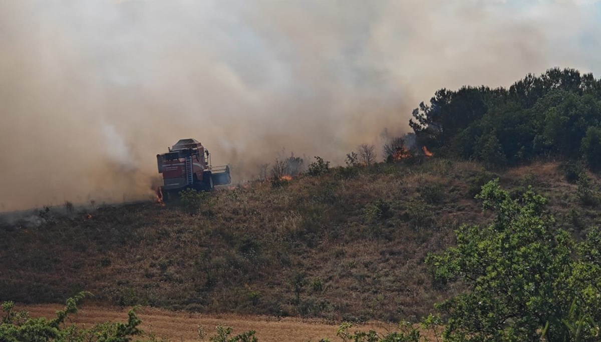 Bursa ve Balıkesir'de yangın