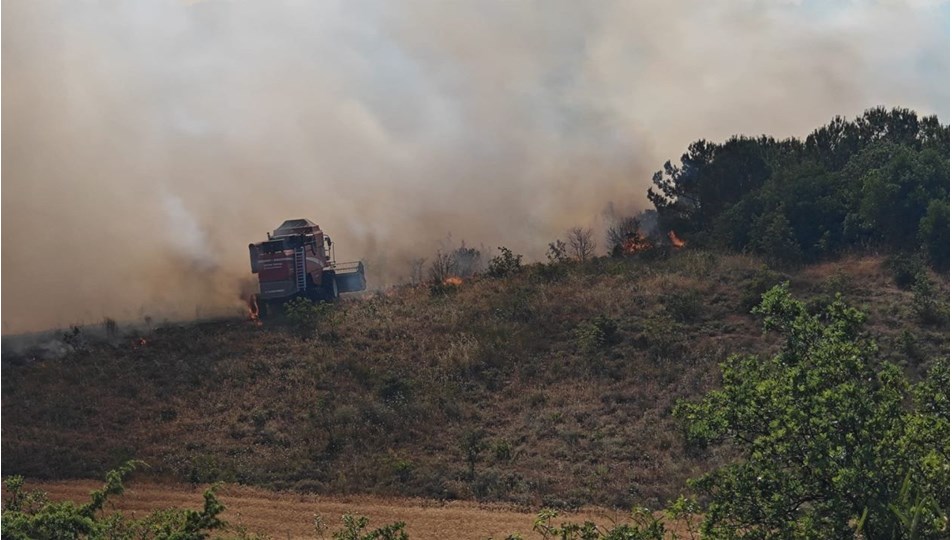 Bursa ve Balıkesir'de orman yangınları