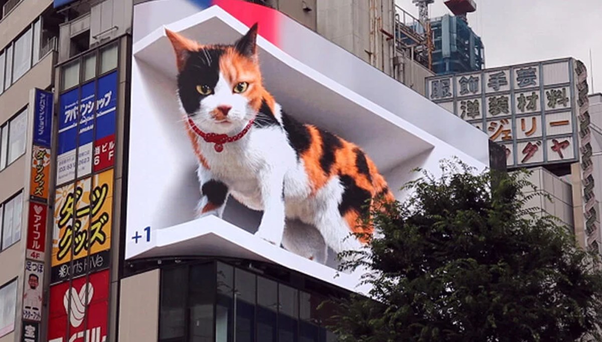 Tokyo'nun yeni misafiri 3 boyutlu kedi: Şehri izliyor ve halkı selamlıyor