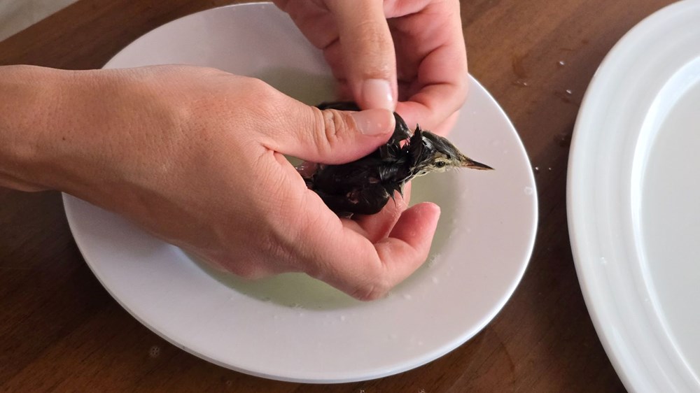 Yapıştırıcıyla vefat tuzağı: ''Bu zalimliktir'' 78