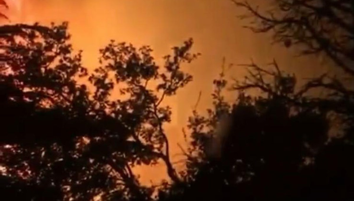 Kemer'de orman yangını