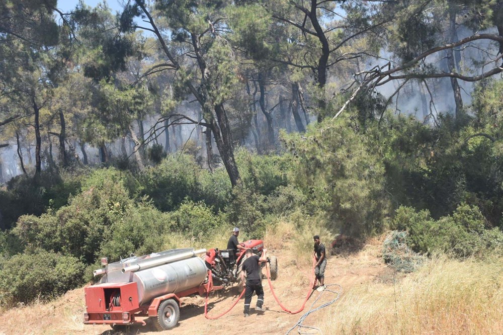 Türkiye alevlerle mücadele ediyor: 4 ilde orman yangını, ekiplerin müdahalesi sürüyor - 6