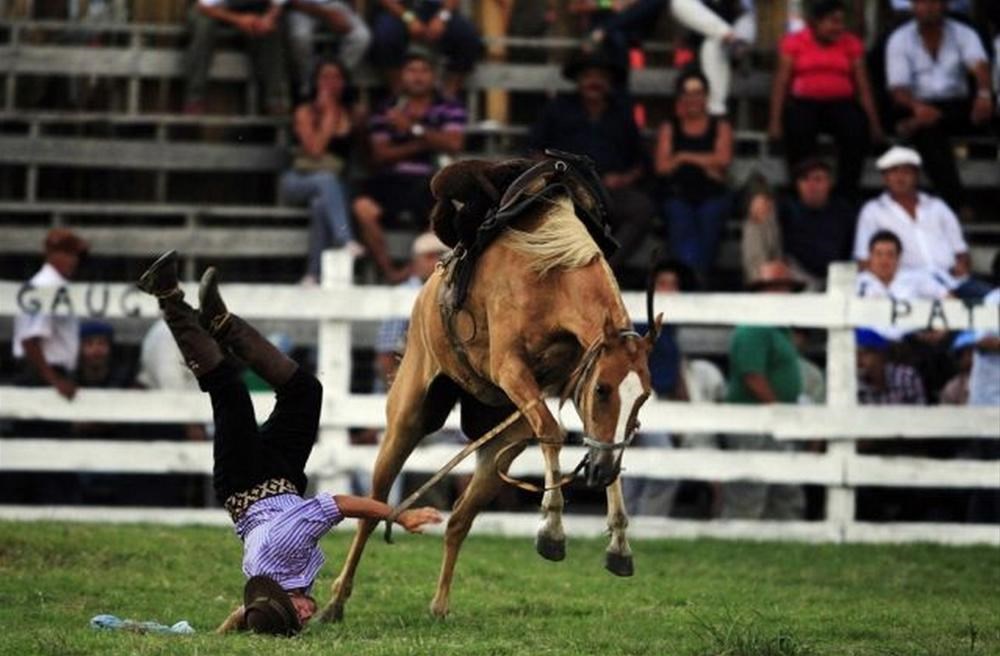 Девушка упавшая с лошади