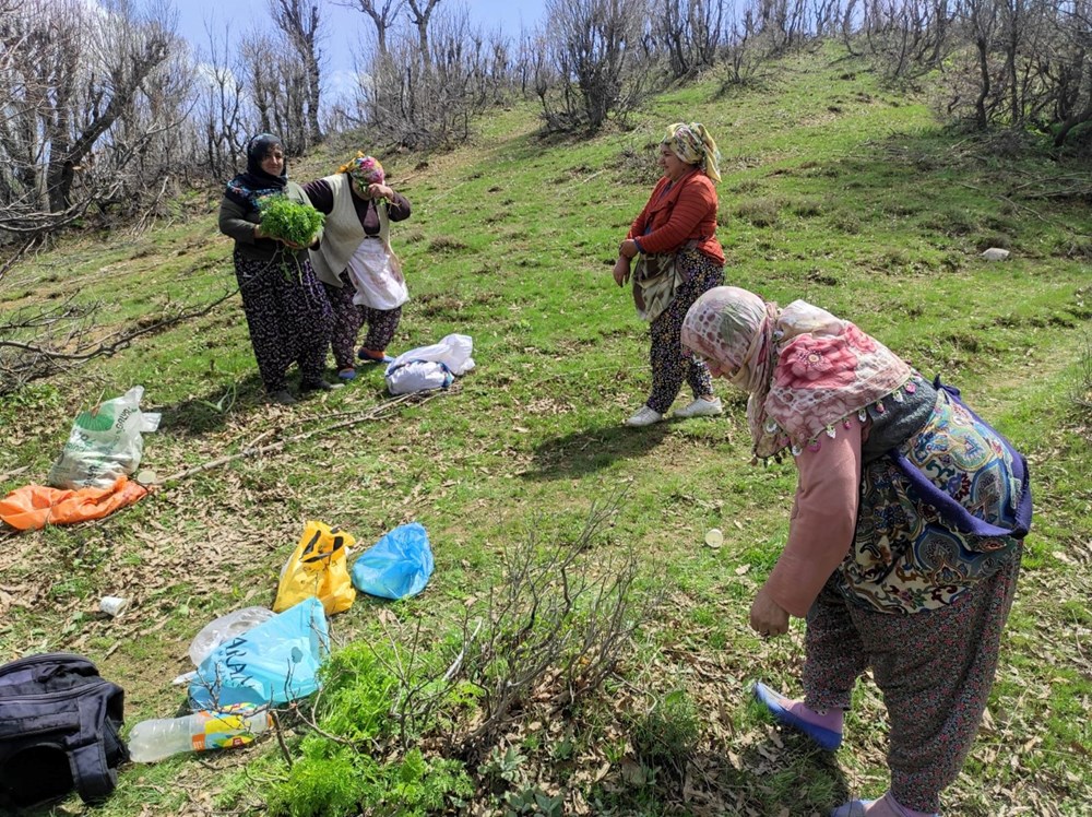 vV94silXWkGC4JR957 PSQ