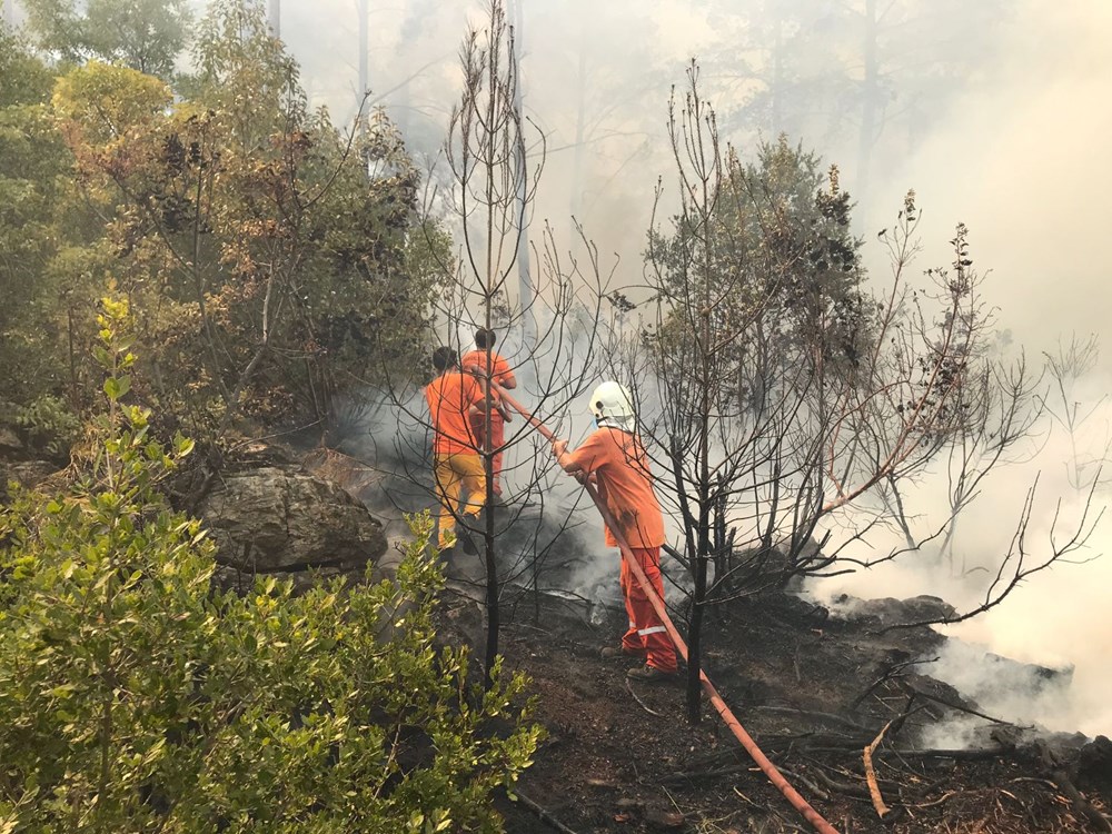Antalya, Adana, Mersin, Aydın, Muğla, Osmaniye ve Kayseri'de orman yangınları - 11