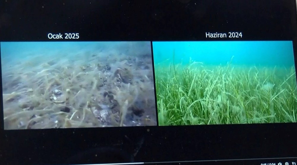 Marmara'nın kabusu İstanbul Boğazı'na geri döndü: 