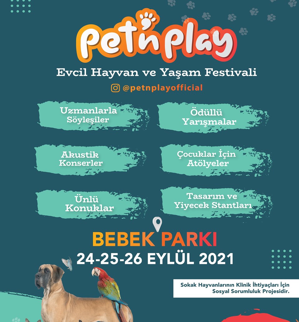 Türkiye’nin Evcil Hayvan ve Yaşam Festivali Pet’N Play başlıyor - 1