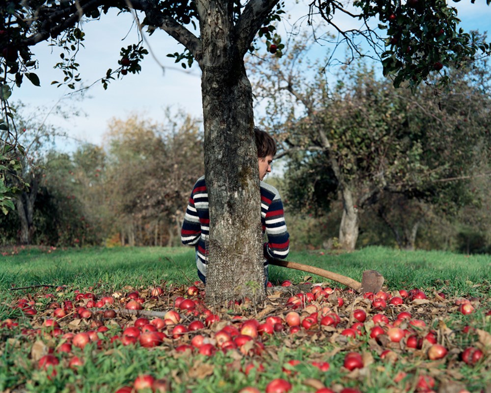 Under the tree перевод