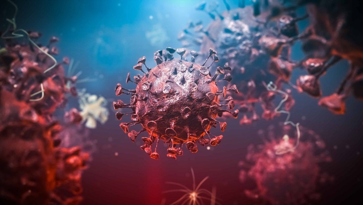 19 Ağustos 2021 corona virüs tablosu: 216 can kaybı, 19 bin 320 yeni vaka