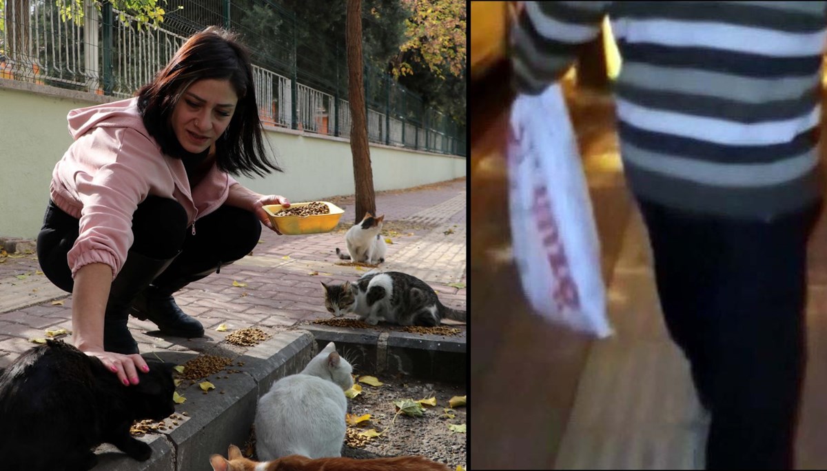 Çuvalla götürülen kedileri kurtardı