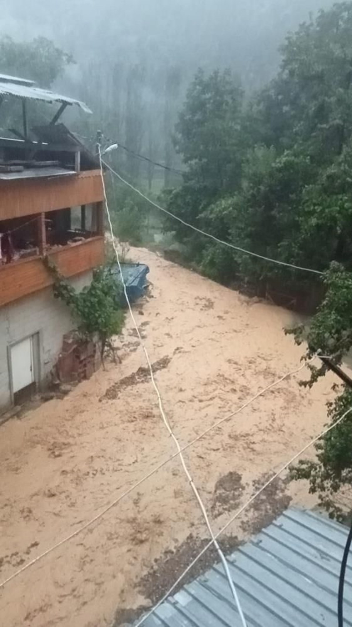 Artvin’de şiddetli sağanak: Dere taştı, yollar ulaşıma kapandı