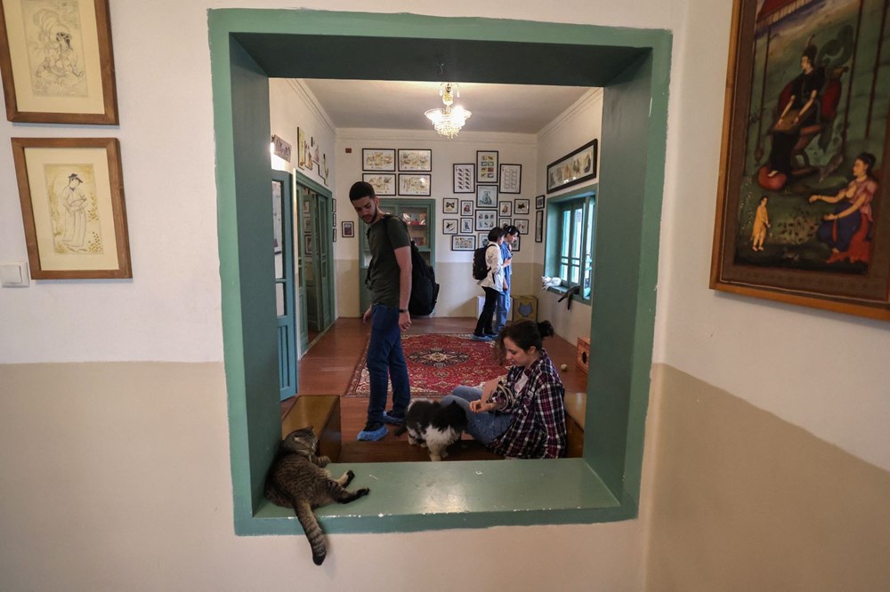 İran'da kedi kafe açıldı: Ziyaretçilerden yoğun ilgi - 16