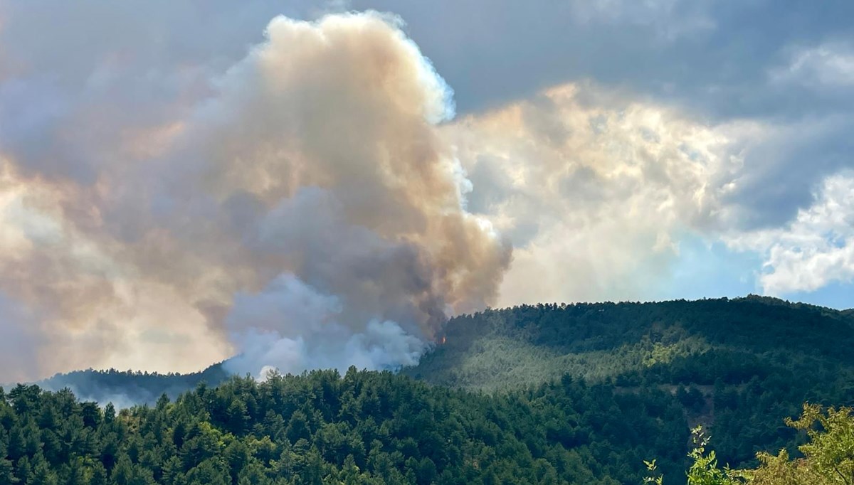 Karabük'te orman yangını: Ekipler olay yerinde