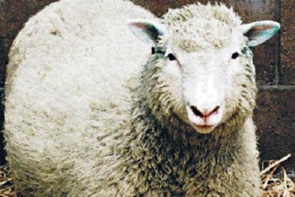 Dünyayı değiştiren icatlar Dünyayı değiştiren icatlar