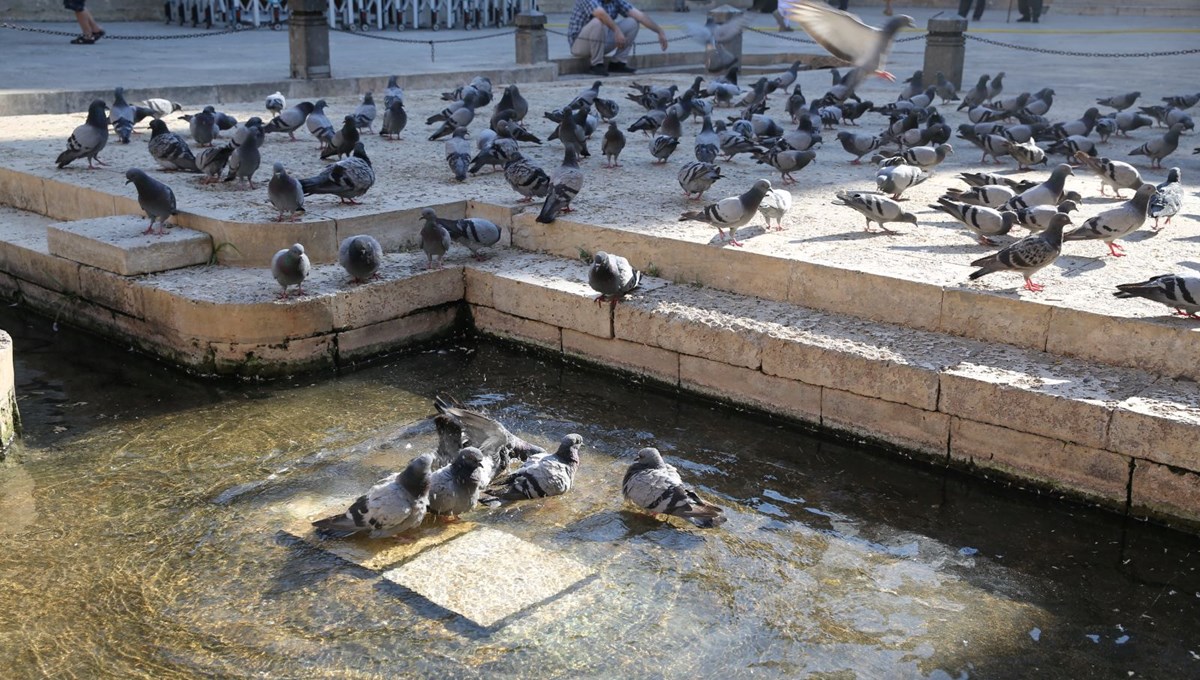 Şanlıurfa'da termometreler 41 dereceyi gördü