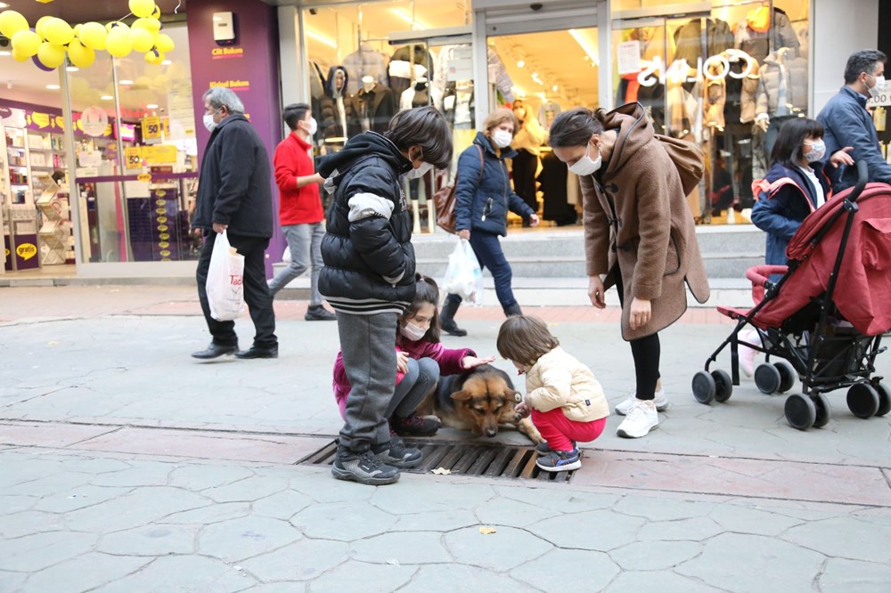 Mazgalı izleyen köpeğin sırrı ortaya çıktı - 6