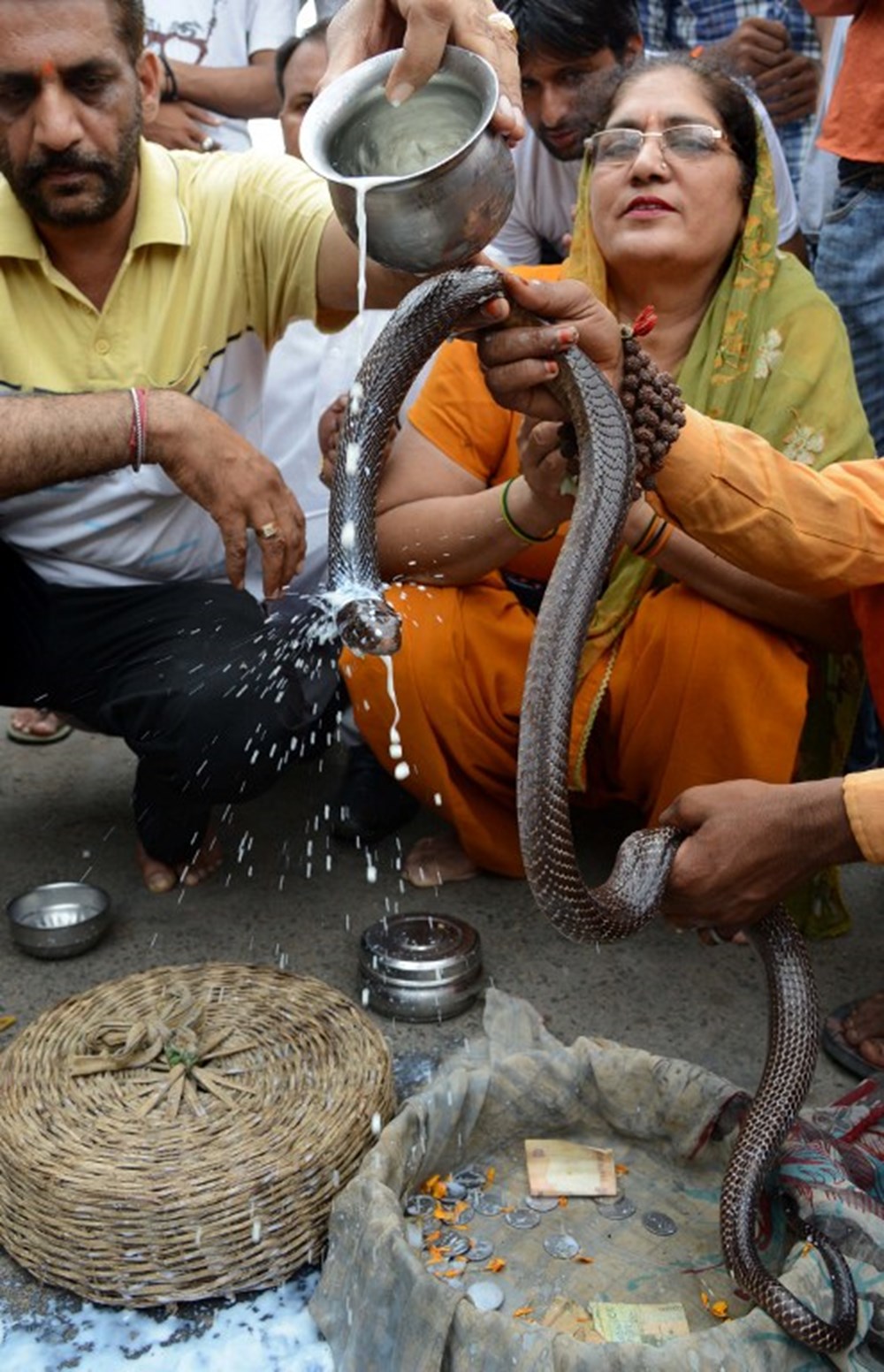 Какой праздник змей. Праздник Nag Panchami в Индии. Культ змеи в Индии.