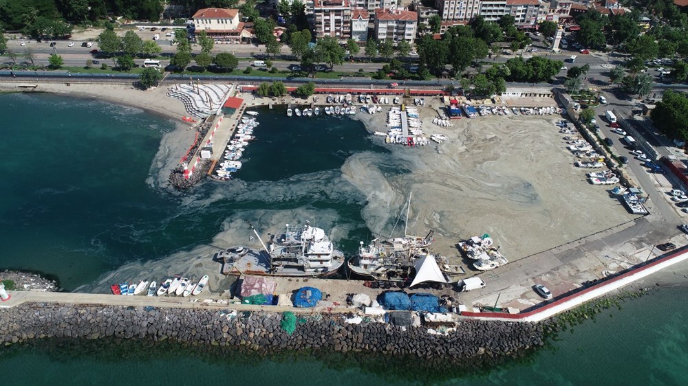 Tekirdağ'da lodos nedeniyle kıyılara müsilaj geri geldi - 1