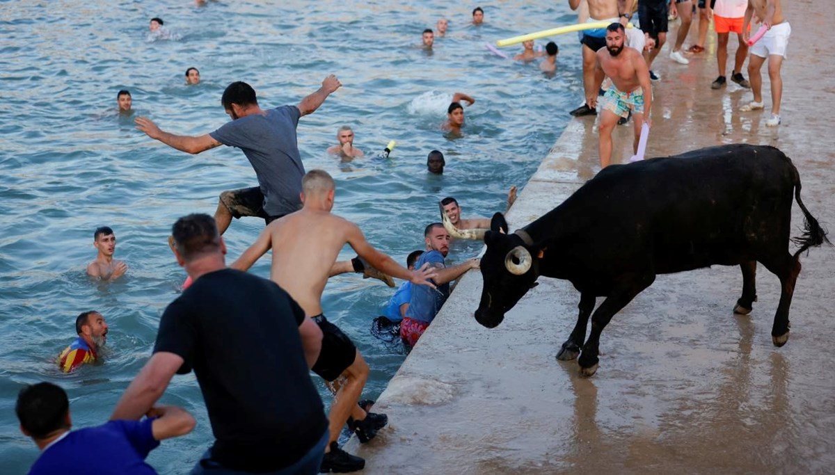 İspanya'da boğaların denize atlatıldığı festival ilk kez sınırlandırıldı İspanya'da boğaların denize atlatıldığı festival ilk kez sınırlandırıldı