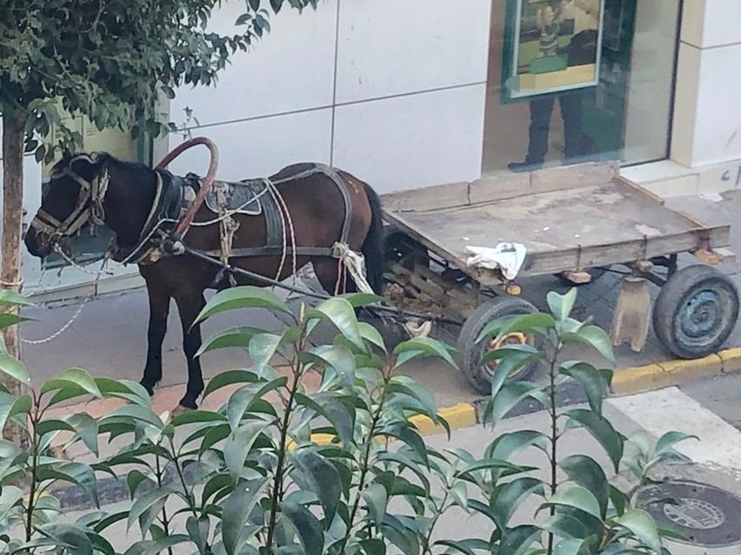 park eden kisiye 132 lira ceza