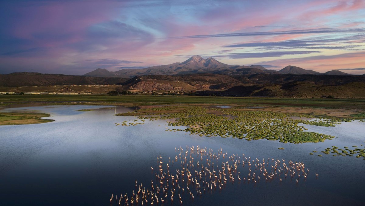 Kayseri'de doğaseverler için saklı cennet: Hürmetçi Sazlığı keşfedilmeyi bekliyor