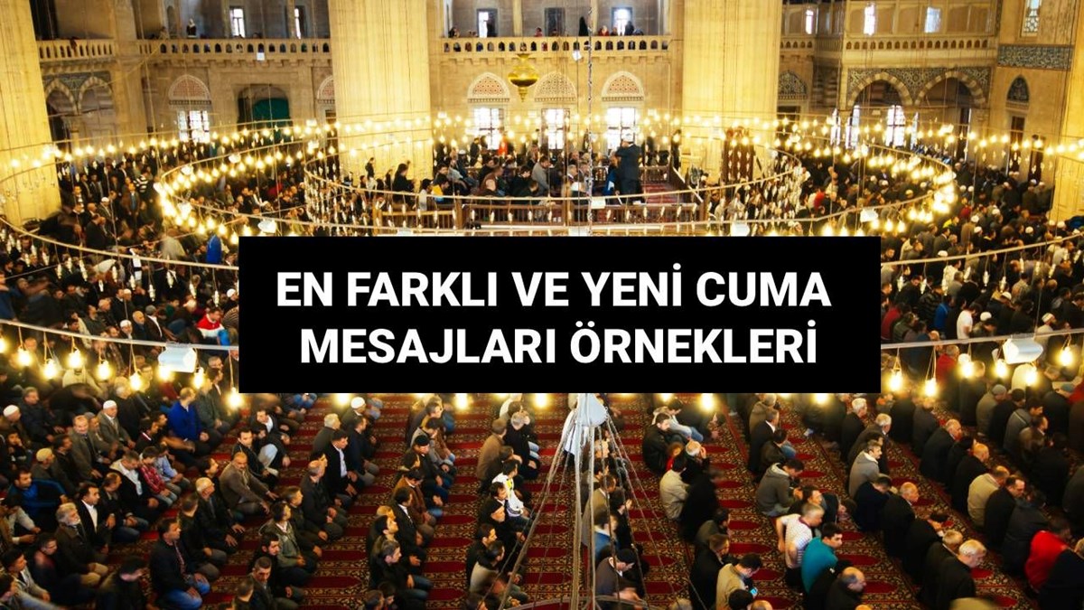 vgwcqFFSMkuzvcOmtd24bw.jpg