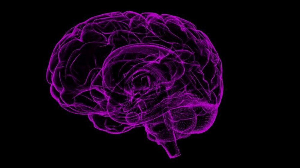 Tıp tarihinde bir ilk! Epilepsi hastası çocuk kafasına yerleştirilen cihazla iyileşti 4 Tıp tarihinde bir ilk! Epilepsi hastası çocuk kafasına yerleştirilen cihazla iyileşti - 5