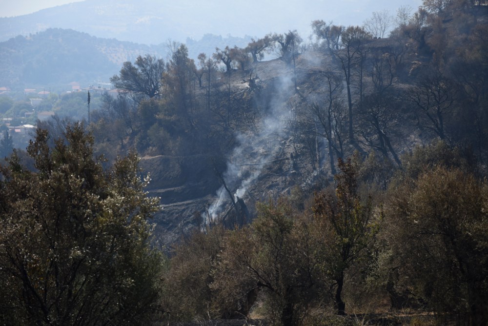 Akdeniz alev aldı: Yunanistan ve İtalya’da orman yangınları sürüyor - 3