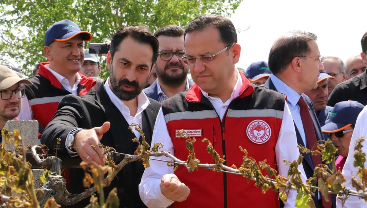 Manisa'da zirai donun faturası ağır