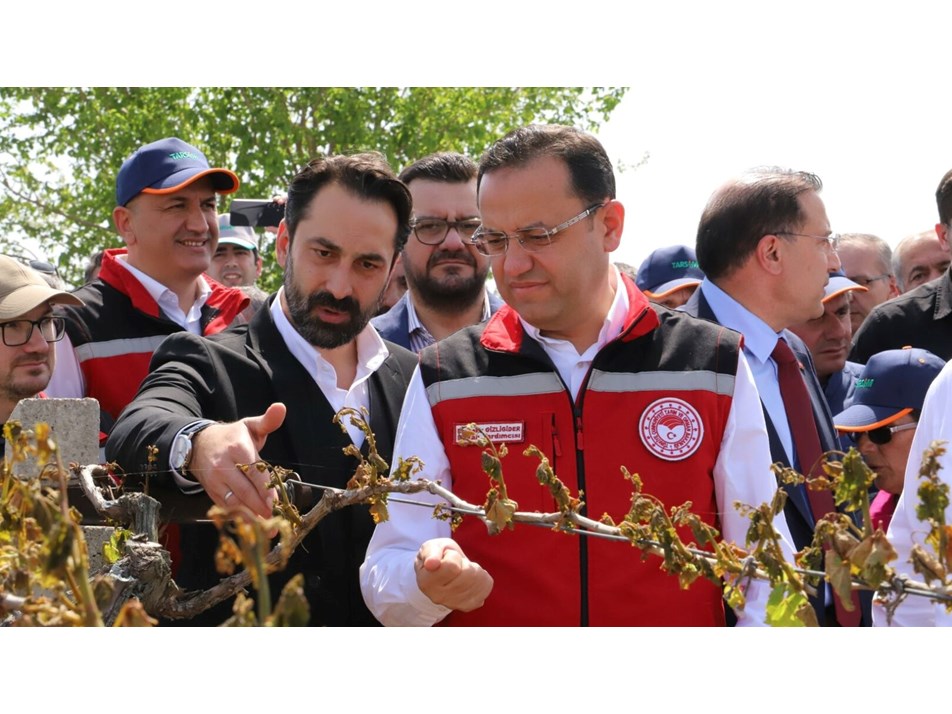 Manisa'da zirai donun faturası ağır: 36 bin 738 üretici zarar gördü