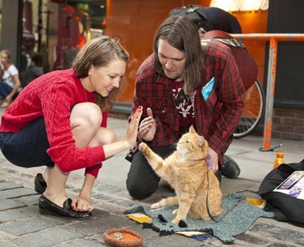 Bir evsizin hayatını değiştiren, kitaba ve filme konu olan kedi Bob