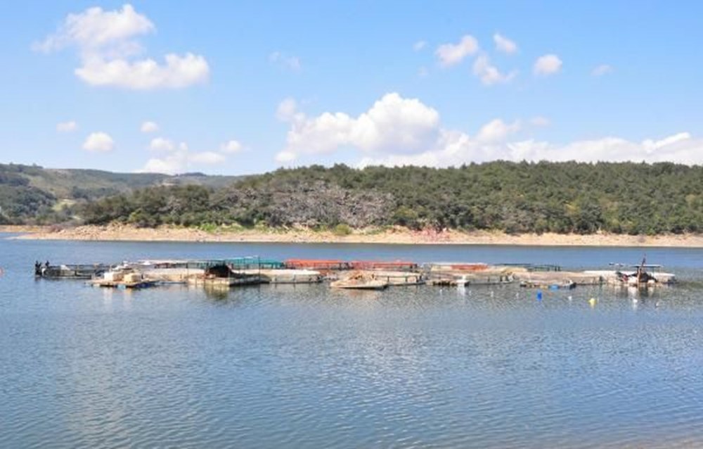 Denizi olmayan Manisa'dan dünyaya balık ihracı - 10