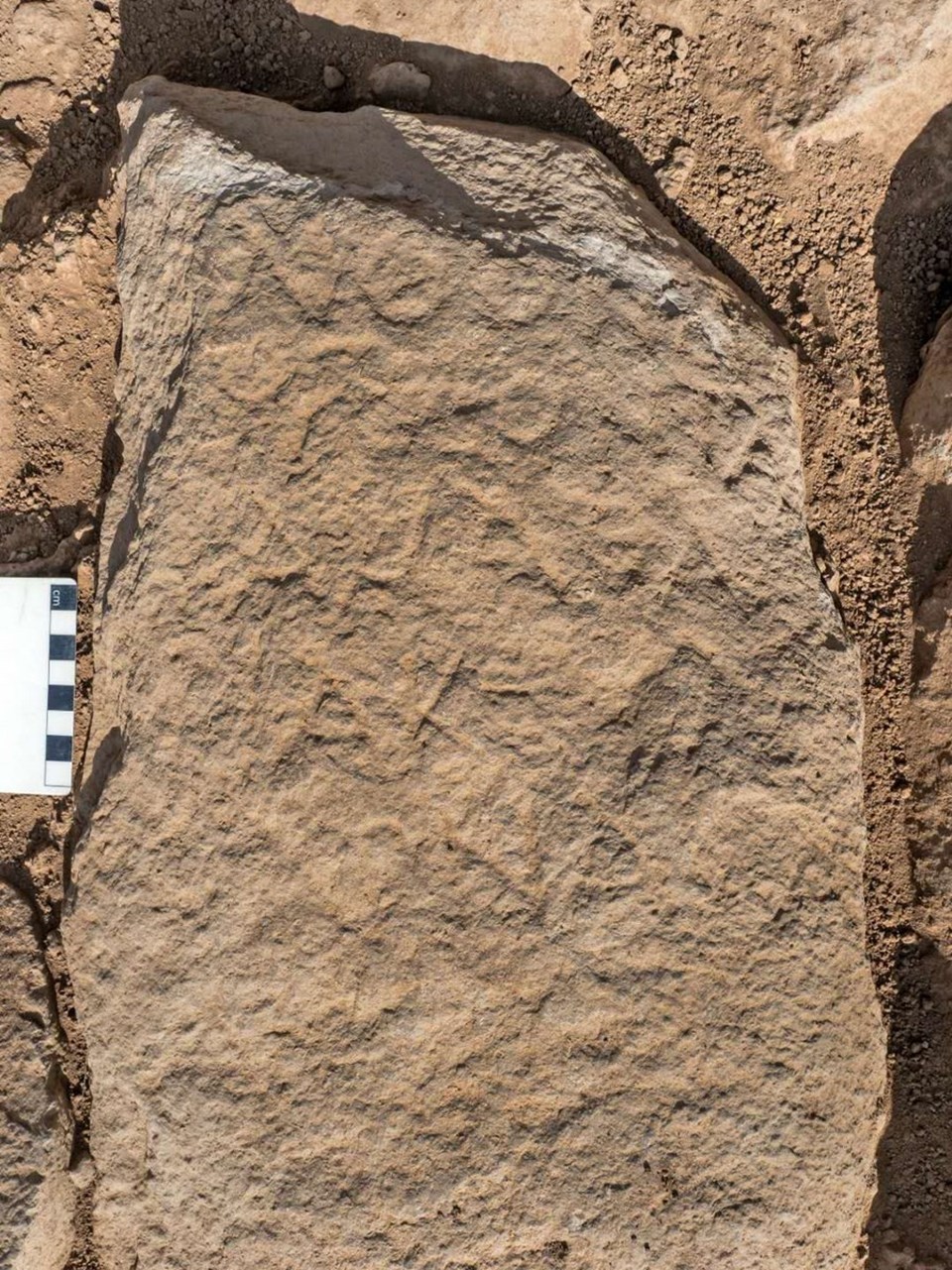 Golan Tepeleri’nde 1700 yıllık yazılı taş bulundu - 1