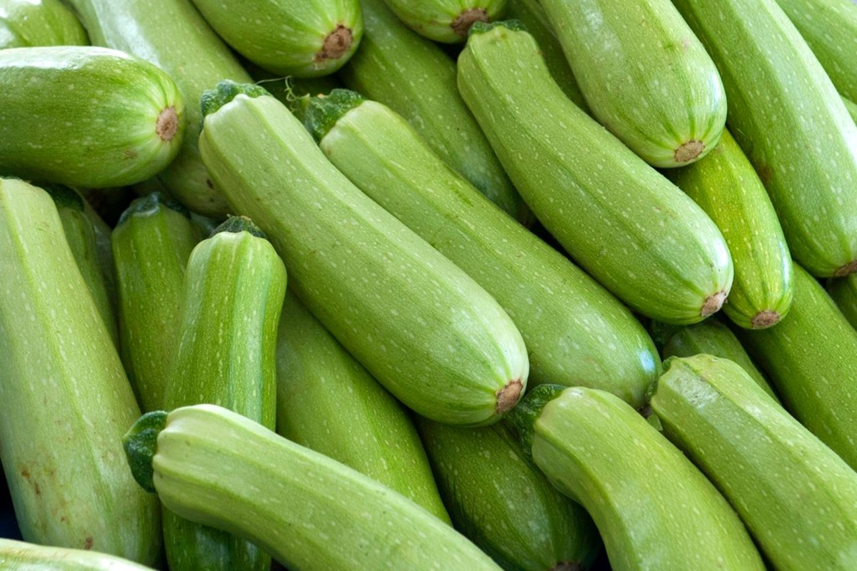 vkgamfq_JkOlmfEu3B7Djg.jpg