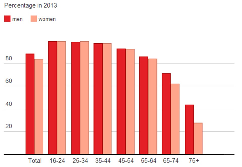 2013'e ait olan verilerde, kırmızı renkle gösterilen erkek kullanıcılar yaş ilerledikçe kadınlardan daha fazla olarak beliriyor.