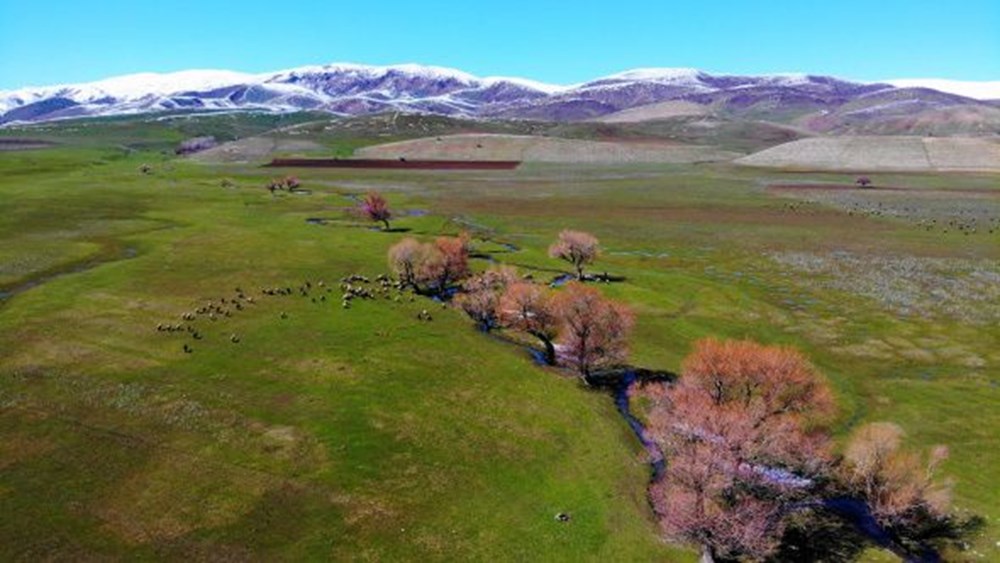 Two seasons together in Muş - 3