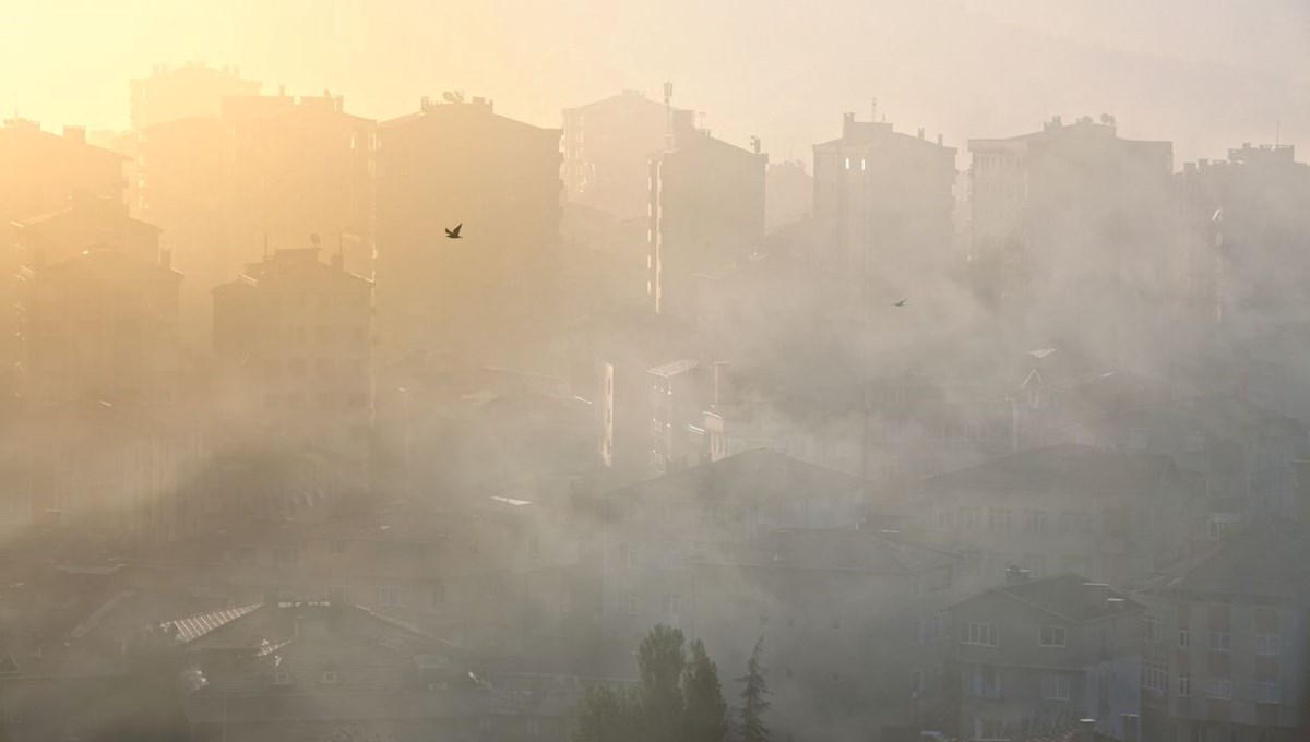 Araştırma: 2021'de hiçbir ülke DSÖ hava kalitesi standartlarını karşılamadı