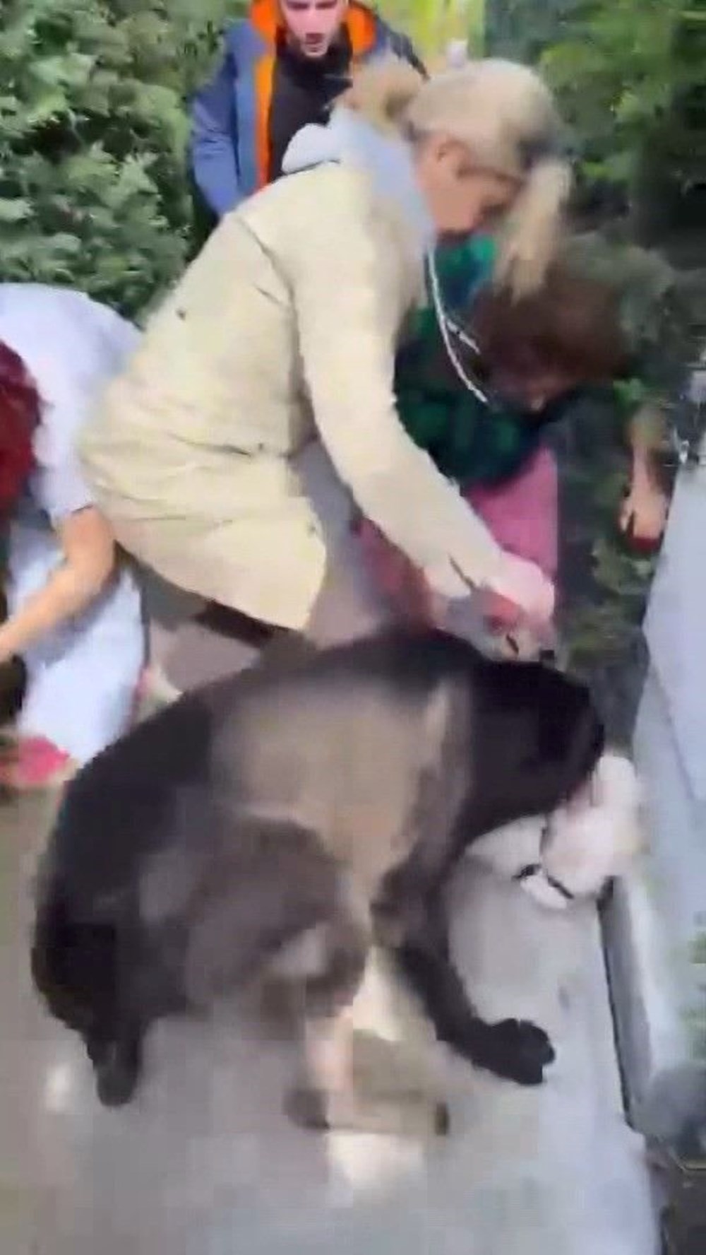 Sosyal medya fenomeni Banu Parlak’ın köpeği komşusunun
köpeğinin ölümüne neden oldu - 4