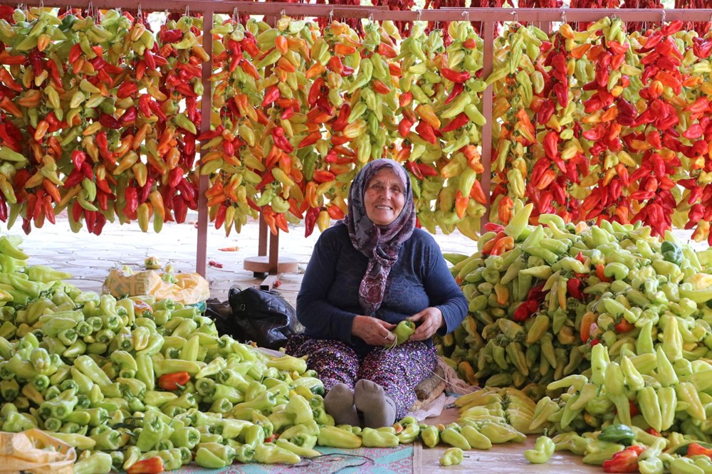 İplere dizilmeye başlandı! Turistlerin ilgisini çekiyor - Son Dakika Türkiye Haberleri | NTV Haber