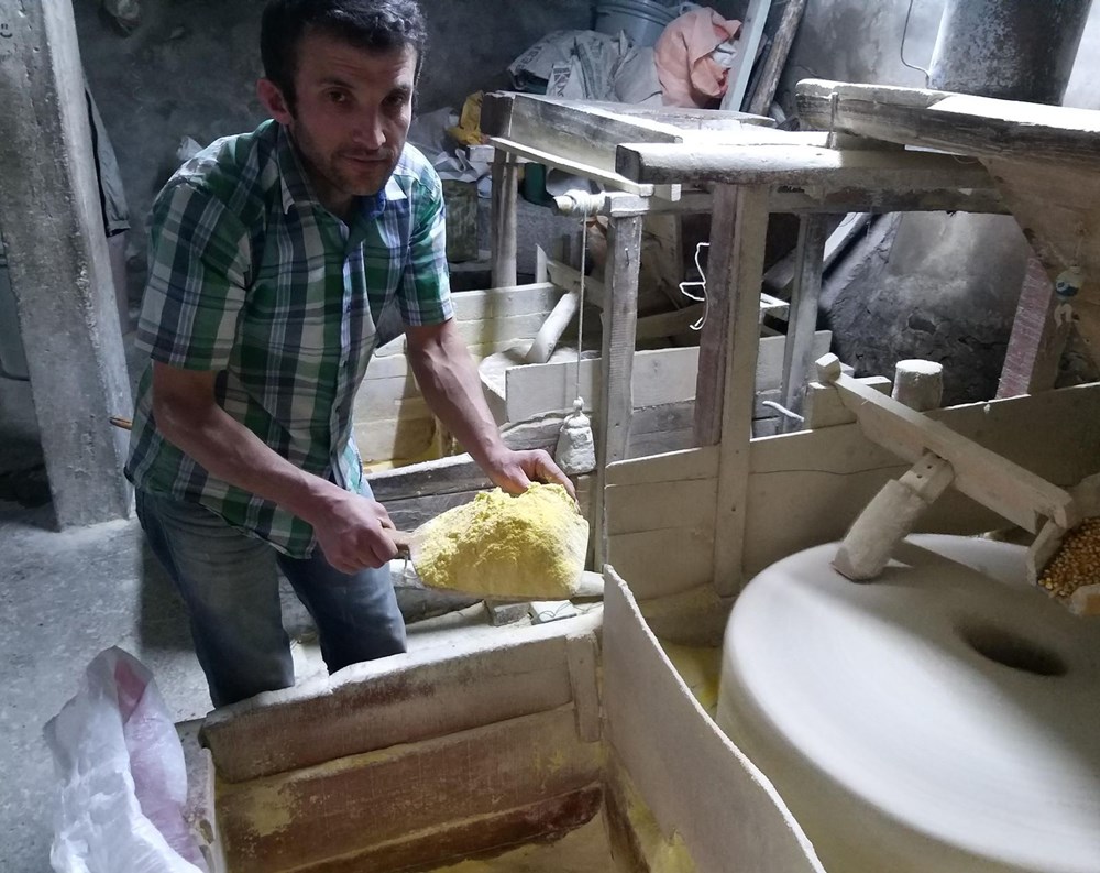 Ordu’nun Gölköy ilçesinde en uzun ömürlü insanlar yaşıyor (Corona virüs vakası da yok) - 9