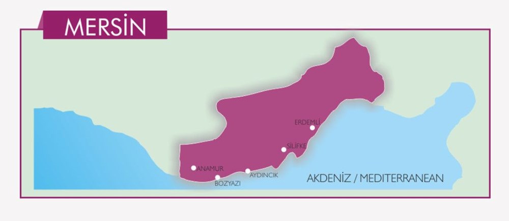 Türkiye'nin mavi bayraklı plajları: 2022 yılı güncel listesi (En iyi sahiller ve plajlar) - 82