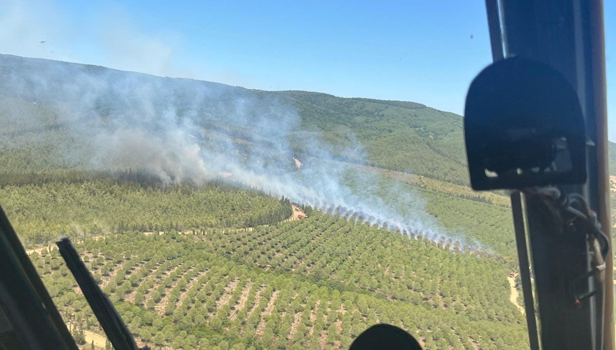 Çanakkale'de orman yangını