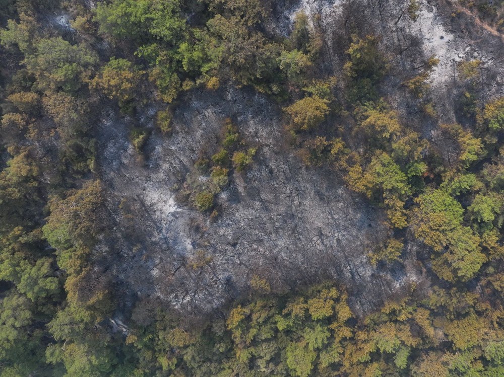 Orman yangınlarıyla mücadele | Bakan Yumaklı: Eylül'ün 15'ine kadar alarm durumumuz devam ediyor - 17