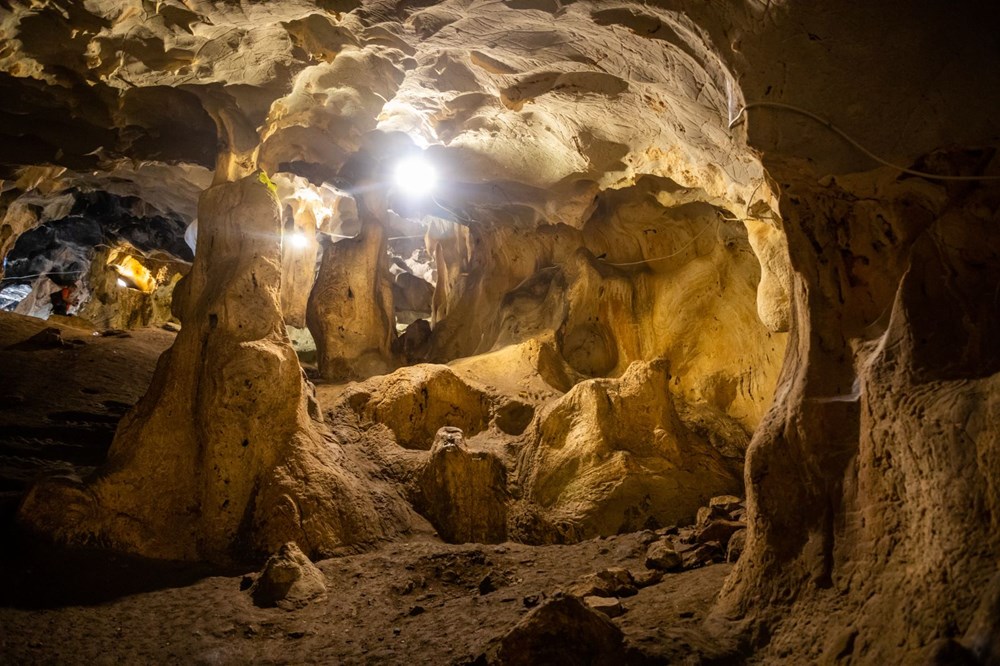 Dünyanın en tehlikeli kuşu: Tavuktan eski, dinozordan vahşi - 8