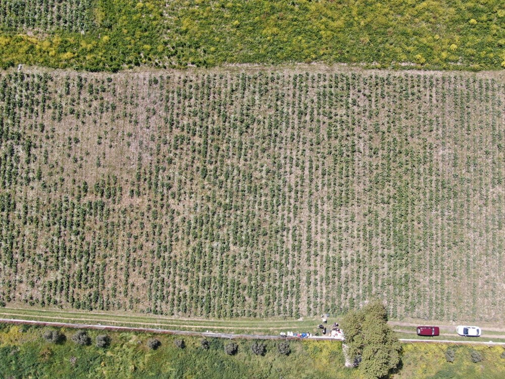 vsMulwRDFEawLB6DchA8nA